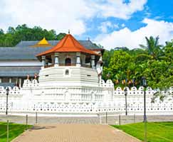 Package Tour To Sri Lanka