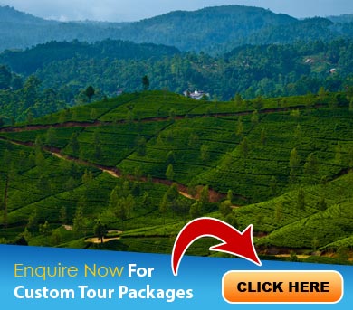 Sri Lanka Tour Packages